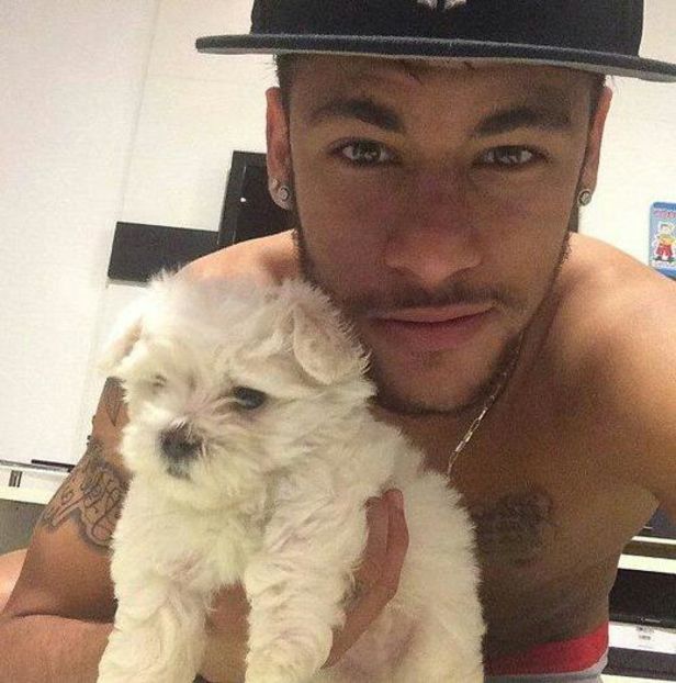 100499219_GUIXDKS3-1 - fantacy