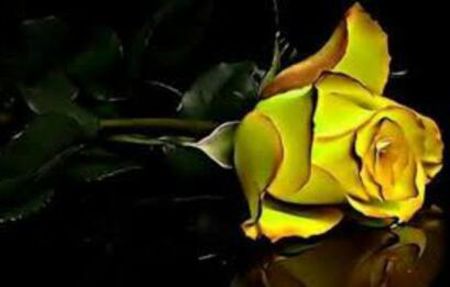 95621987_UZUIWKG3-1 - fantacy