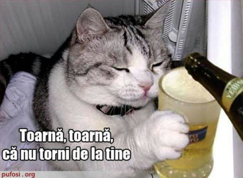 94201361_FJOFOEP-1 - fancy