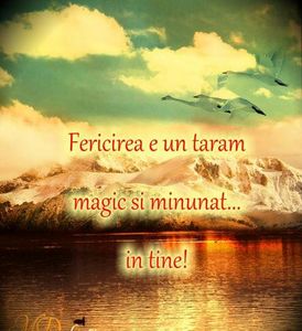 87400058_DJRBFQM-1 - fancy