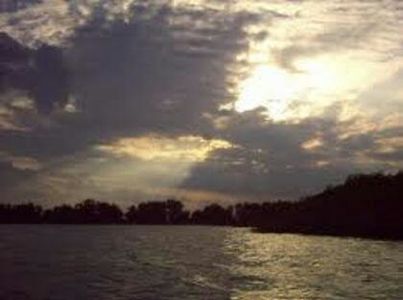 91418861_SNHHDCK3-1 - fancy