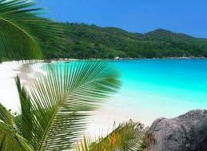 95636669_YGVUQZM-1 - fancy