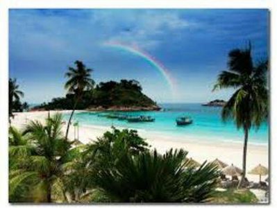 95636674_BUMQJMH-1 - fancy