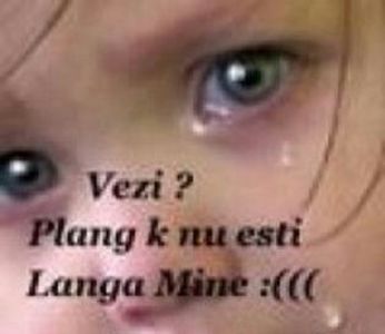 90282285_OBQXASJ3-1 - fancy