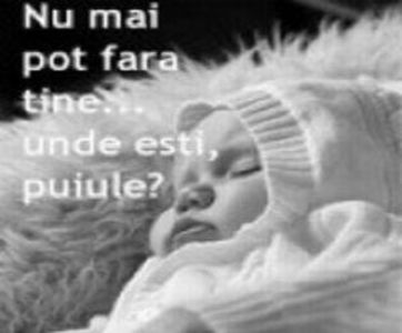 90282268_CZDFLGA3-1 - ce cine cum