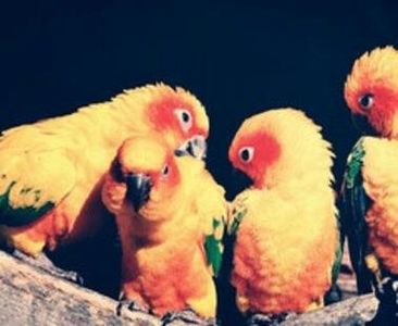 93694547_YRTGEHZ-1 - ce cine cum