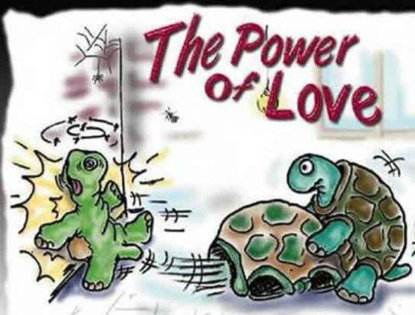 94201680_WAICYMI3-1 - ce cine cum