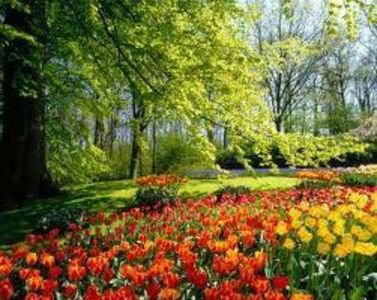 95636675_JPYSBMJ-1 - cry river