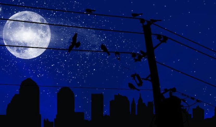 91418860_MZSAPUP-1 - vibes