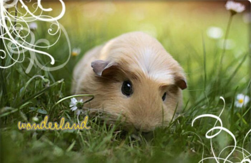 100419162_AJCBFHJ-1 - vibes