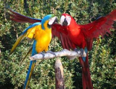 93477439_MBHTSBX-1 - vibes