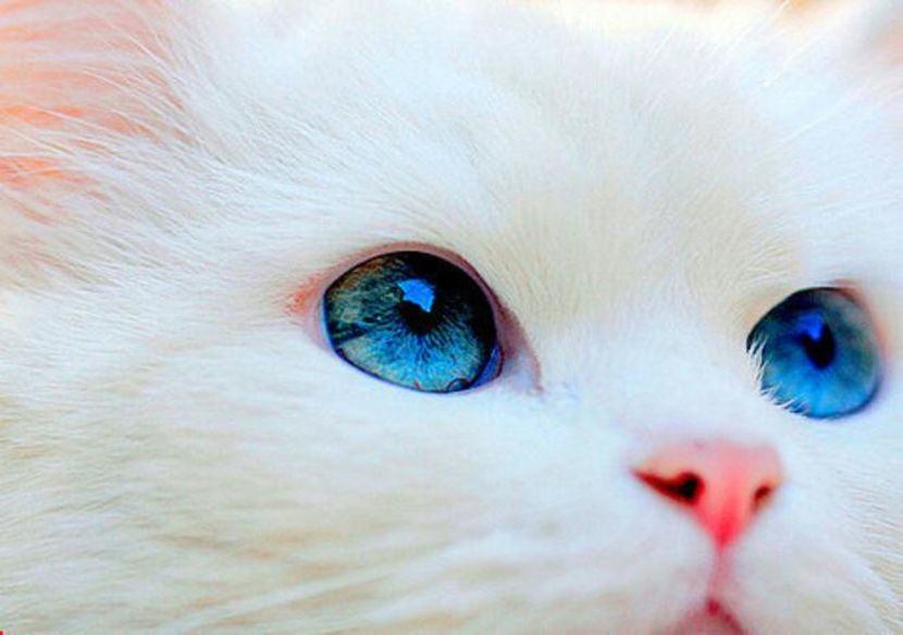 87416338_HLCCRTU3-1 - vibes