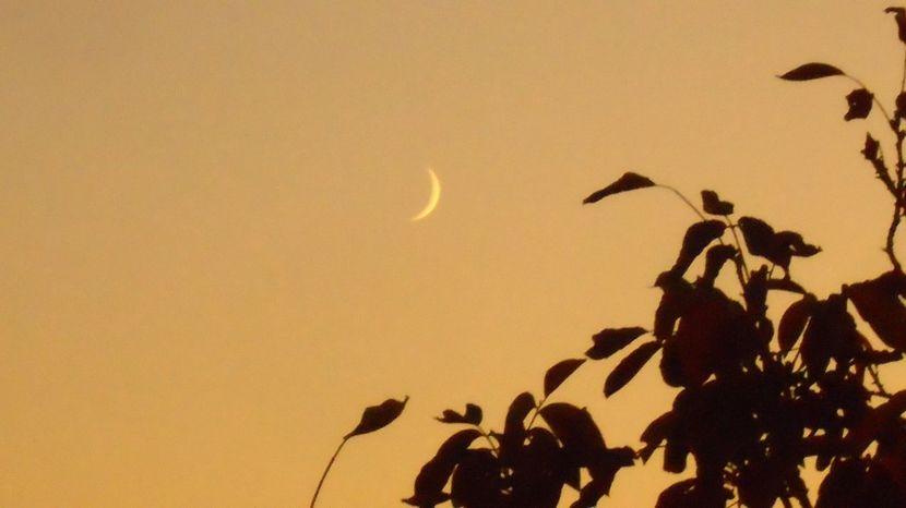 Luna in crestere in Capricorn - Luna - Soarele si norii - 3