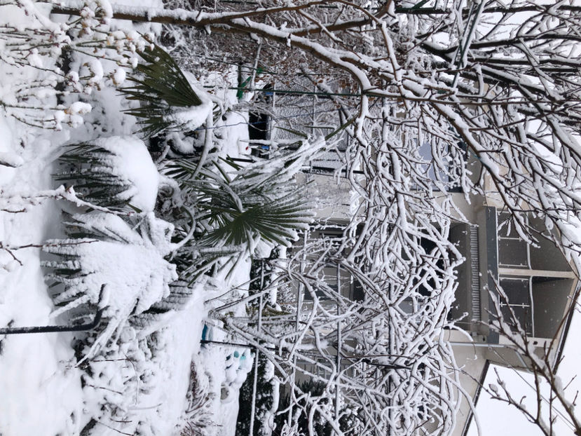  - Primavara - vara 2022-1