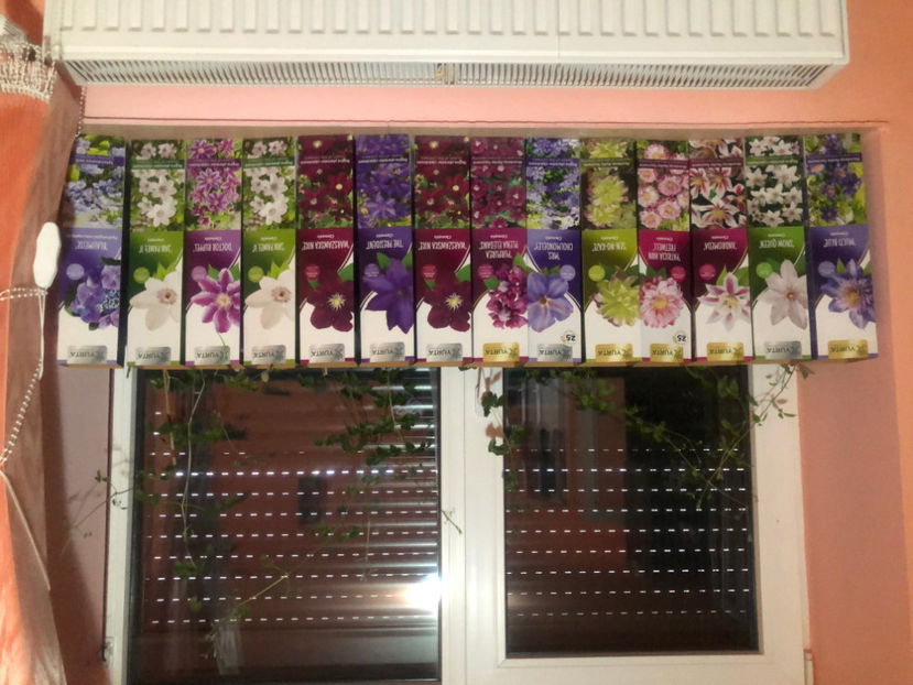  - Primavara - vara 2022-1