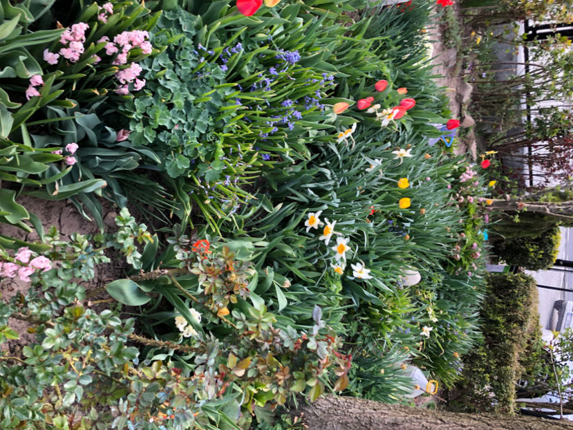  - Primavara - vara 2022-1