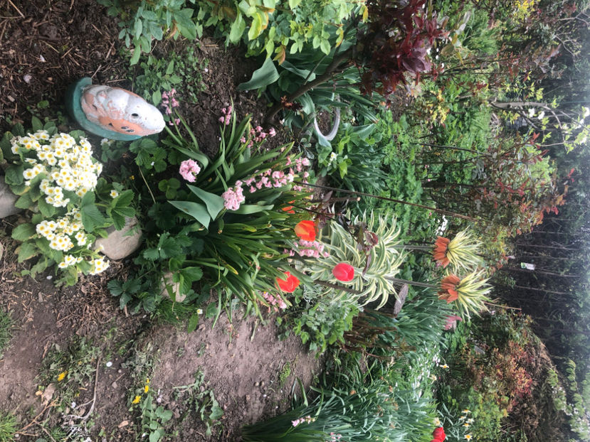  - Primavara - vara 2022-1