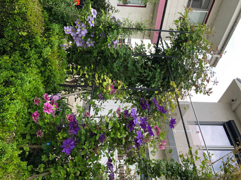  - Primavara - vara 2022-1