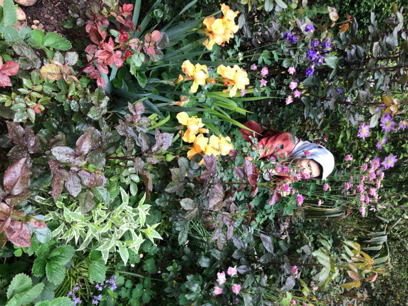  - Primavara - vara 2022-1