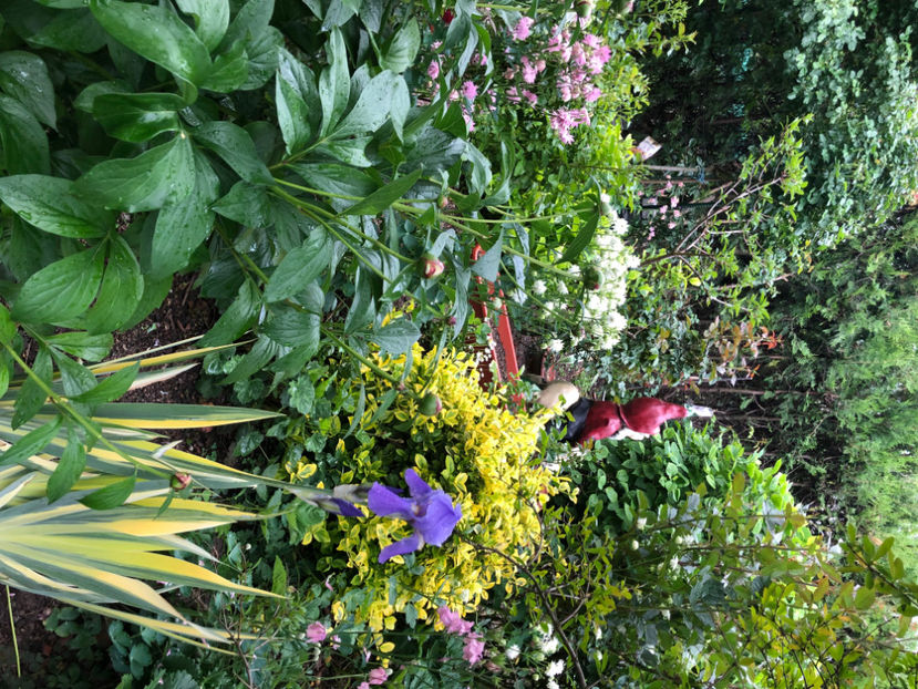  - Primavara - vara 2022-1