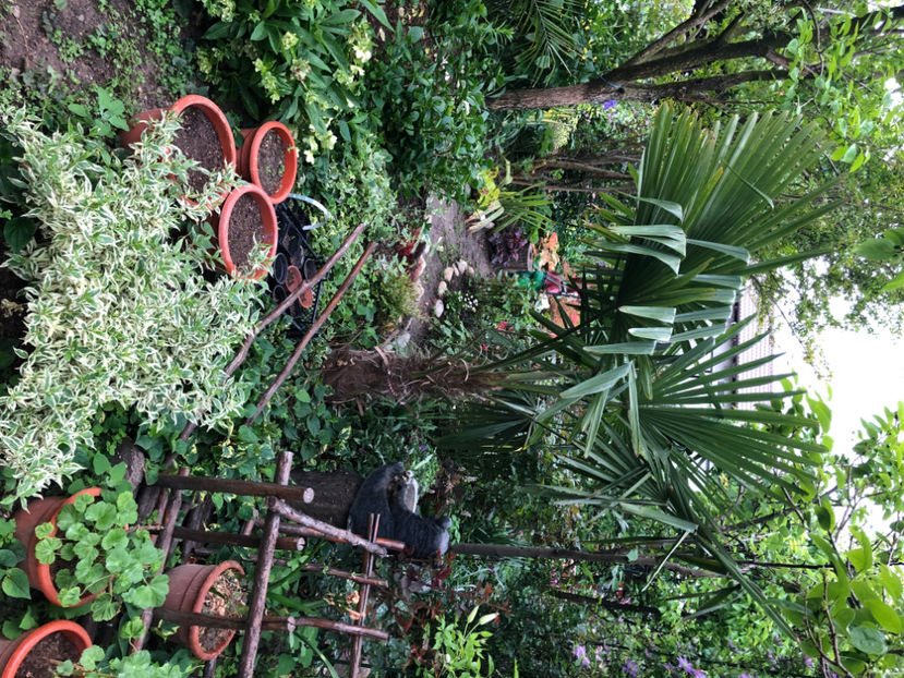  - Primavara - vara 2022-1