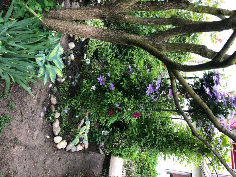  - Primavara - vara 2022-1