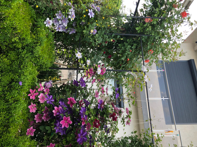  - Primavara - vara 2022-1