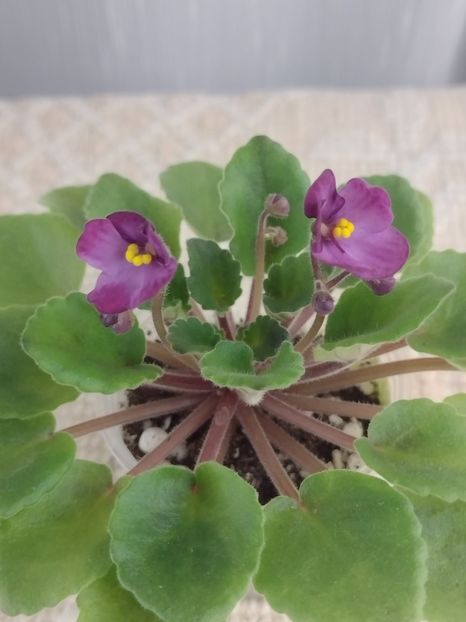 3 dec ( - Hunter s Captivating