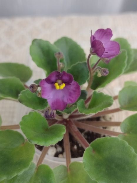 3 dec - Hunter s Captivating