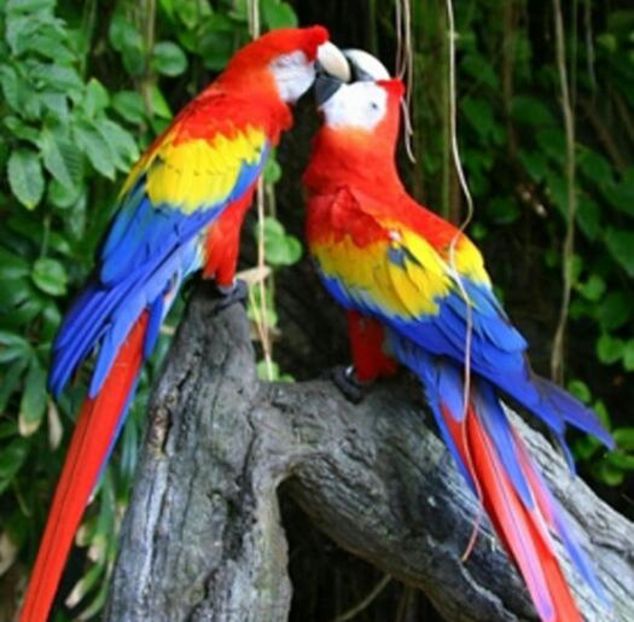 93477460_RPVNJPH-1 - vibes