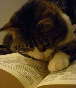 100400513_RDRDIFK3-1 - cry river