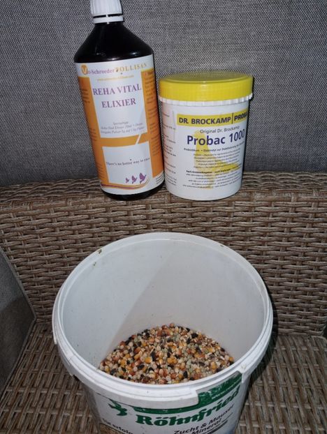  - ÎNGRIJIRE PORUMBEI