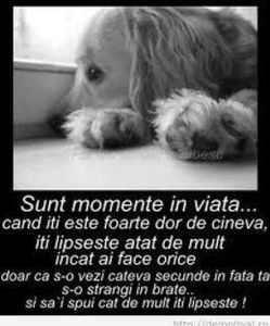 87416559_XKQJSJZ-1 - tabu