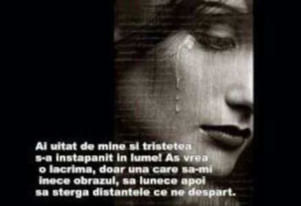 87416560_UKDJWYY3-1 - tabu
