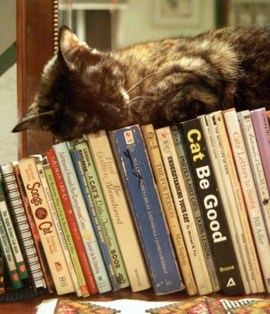 100400510_MNNRDYL3-1 - winx