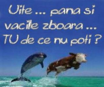 90282393_BOEIGKK3-1 - winx