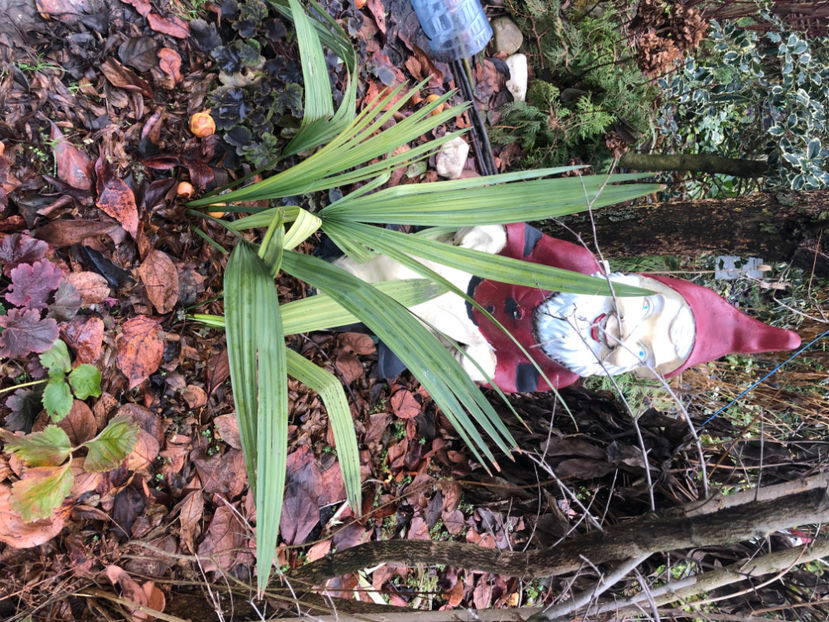  - Primavara - vara 2022