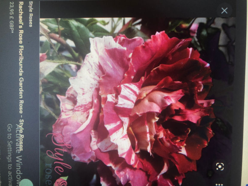  - Primavara - vara 2022