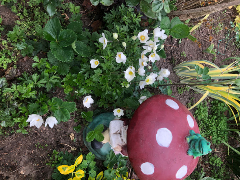  - Primavara - vara 2022