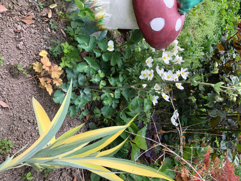  - Primavara - vara 2022