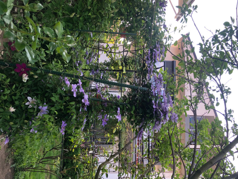  - Primavara - vara 2022