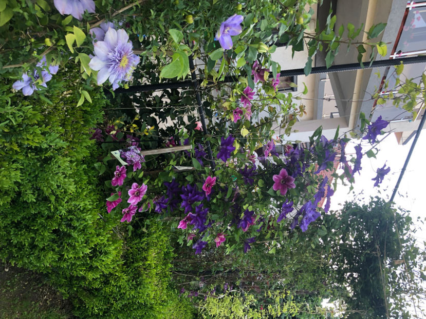  - Primavara - vara 2022