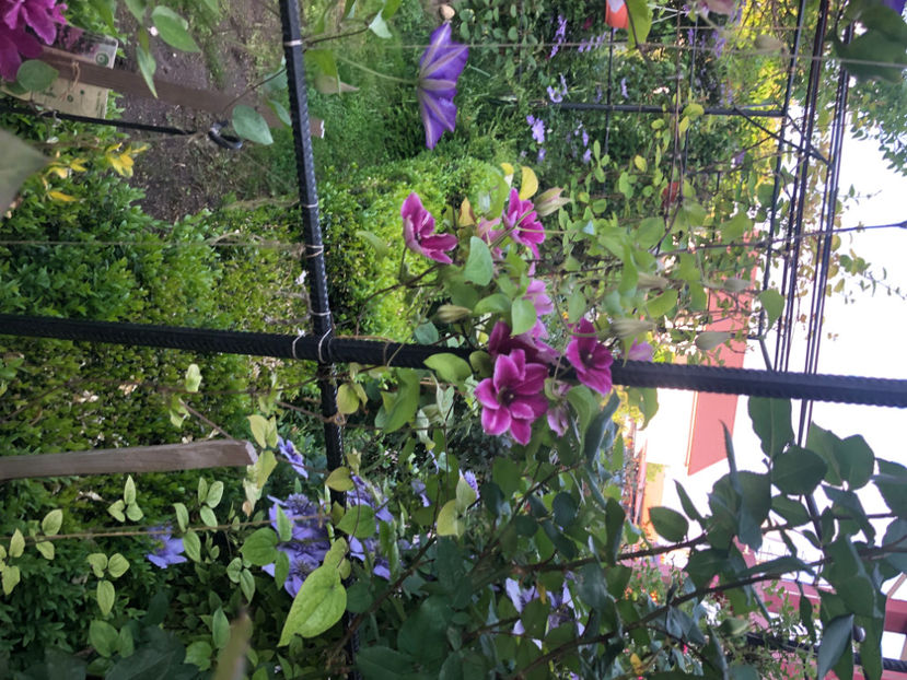  - Primavara - vara 2022