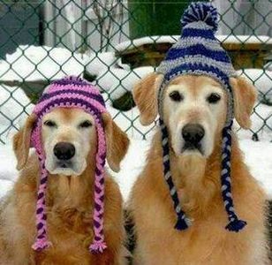 100729431_BVISFWK-1 - sentimente and situatii and stari and trairi diverse