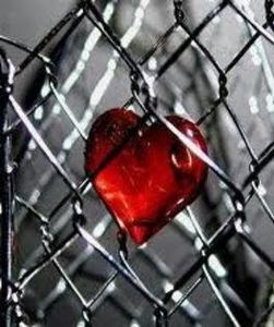 87273007_EWSXYGN-1 - sentimente and situatii and stari and trairi diverse