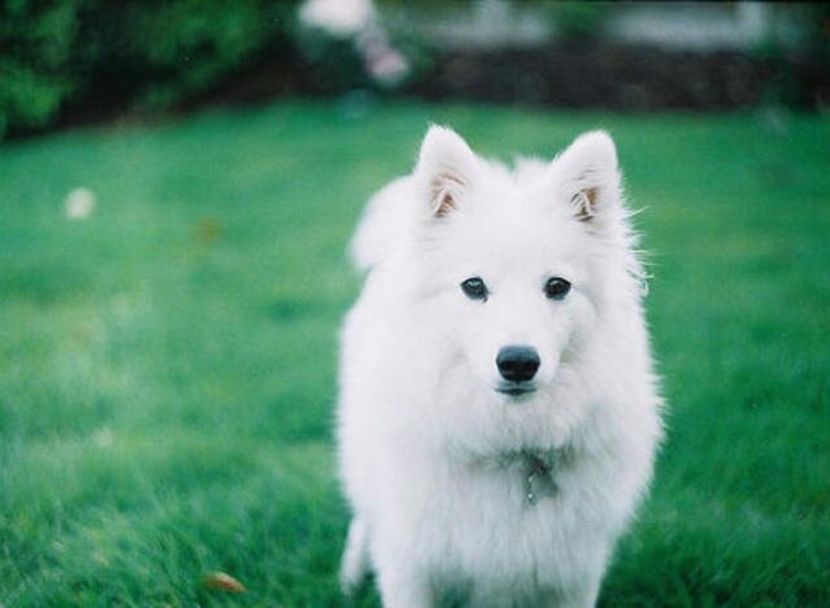 87416407_OJGSFSH3-1 - sentimente and situatii and stari and trairi diverse