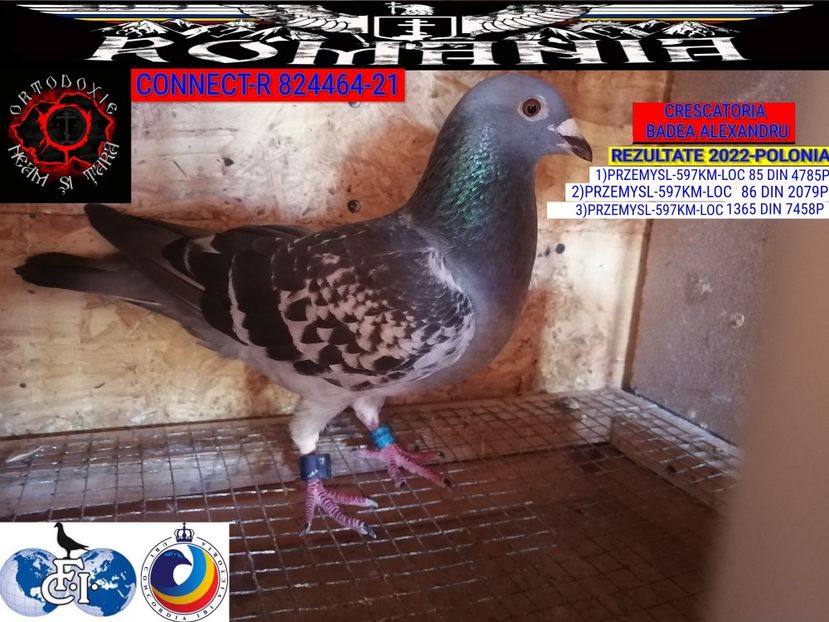 CONNECT-R 824464-21 - 2022-REZULTATE FOND-COLUMBA