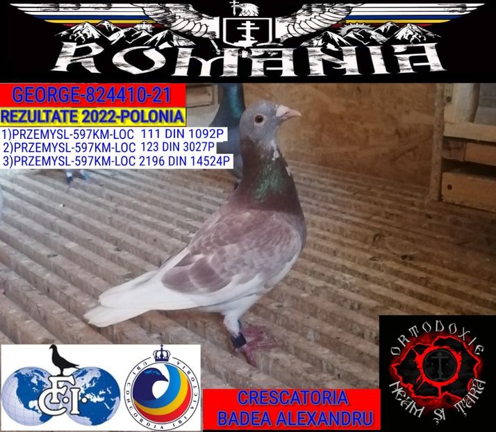 GEORGE-824410-21 - 2022-REZULTATE FOND-COLUMBA
