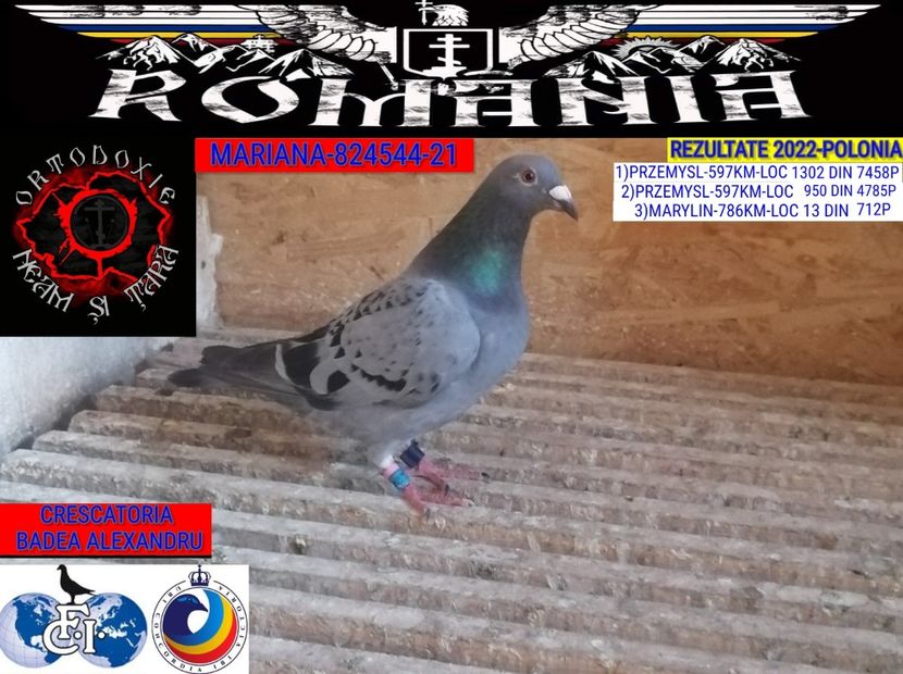 MARIANA-824544-21 - 2022-REZULTATE FOND-COLUMBA