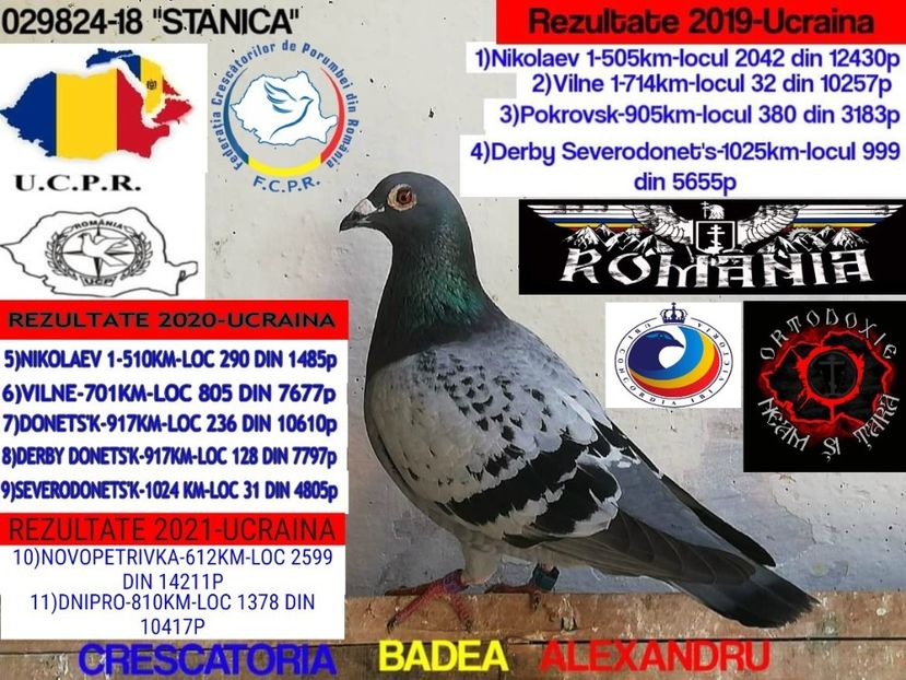 STANICA-029824-18 - 2022-REZULTATE FOND-COLUMBA